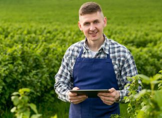 Jak zostać rolnikiem w Polsce? Jak zostać rolnikiem