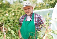 Jak szybko zostać rolnikiem, by kupić ziemię