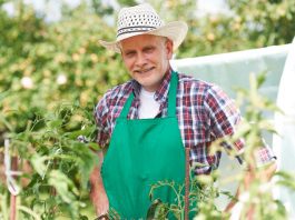 Jak szybko zostać rolnikiem, by kupić ziemię