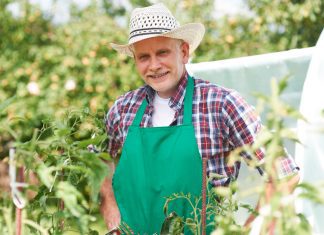 Jak szybko zostać rolnikiem, by kupić ziemię