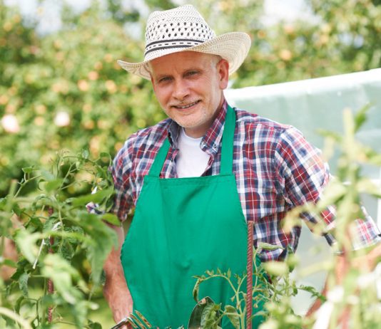 Jak szybko zostać rolnikiem, by kupić ziemię