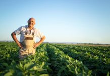 Rolnictwo ekologiczne – od czego zacząć i jak prowadzić gospodarstwo ekologiczne