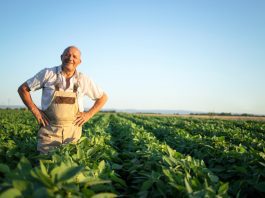 Rolnictwo ekologiczne – od czego zacząć i jak prowadzić gospodarstwo ekologiczne