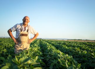 Rolnictwo ekologiczne – od czego zacząć i jak prowadzić gospodarstwo ekologiczne