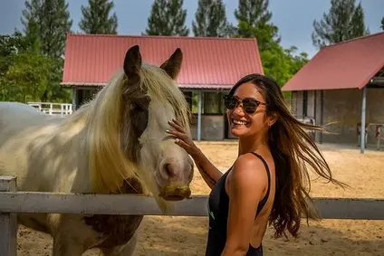 Technik Hodowca Koni 314203 (Kurs Kwalifikacyjny Zawodowy: ROL.01 / ROL.06 / ROL.07, dawniej RL.06 / RL.19 / RL.20)