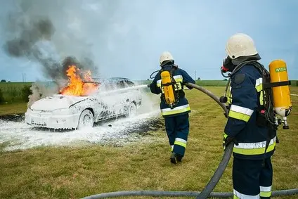 Technik Pożarnictwa 311919 (Kurs Kwalifikacyjny Zawodowy: MS.20 / MS.21)