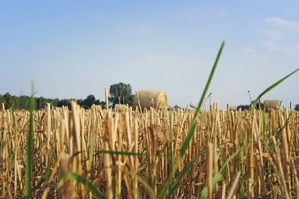 Technik Turystyki na Obszarach Wiejskich 515205 (Kurs Kwalifikacyjny Zawodowy: HGT.09 / HGT.10)